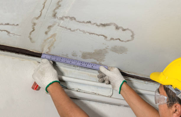 Reliable Water Damage contractor in Canton, MO by Water Damage Irwin